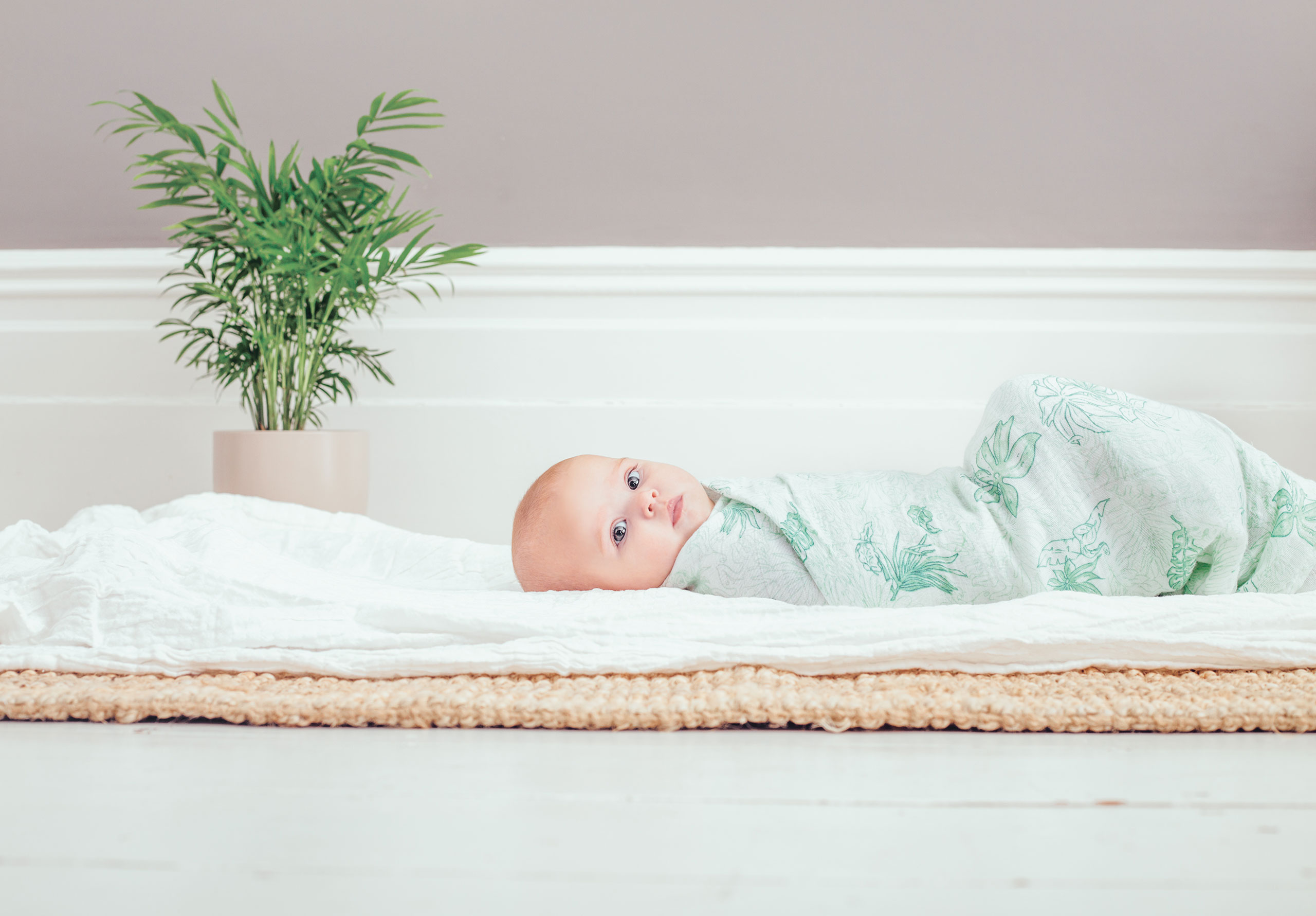 Aden & Anais, Inc.