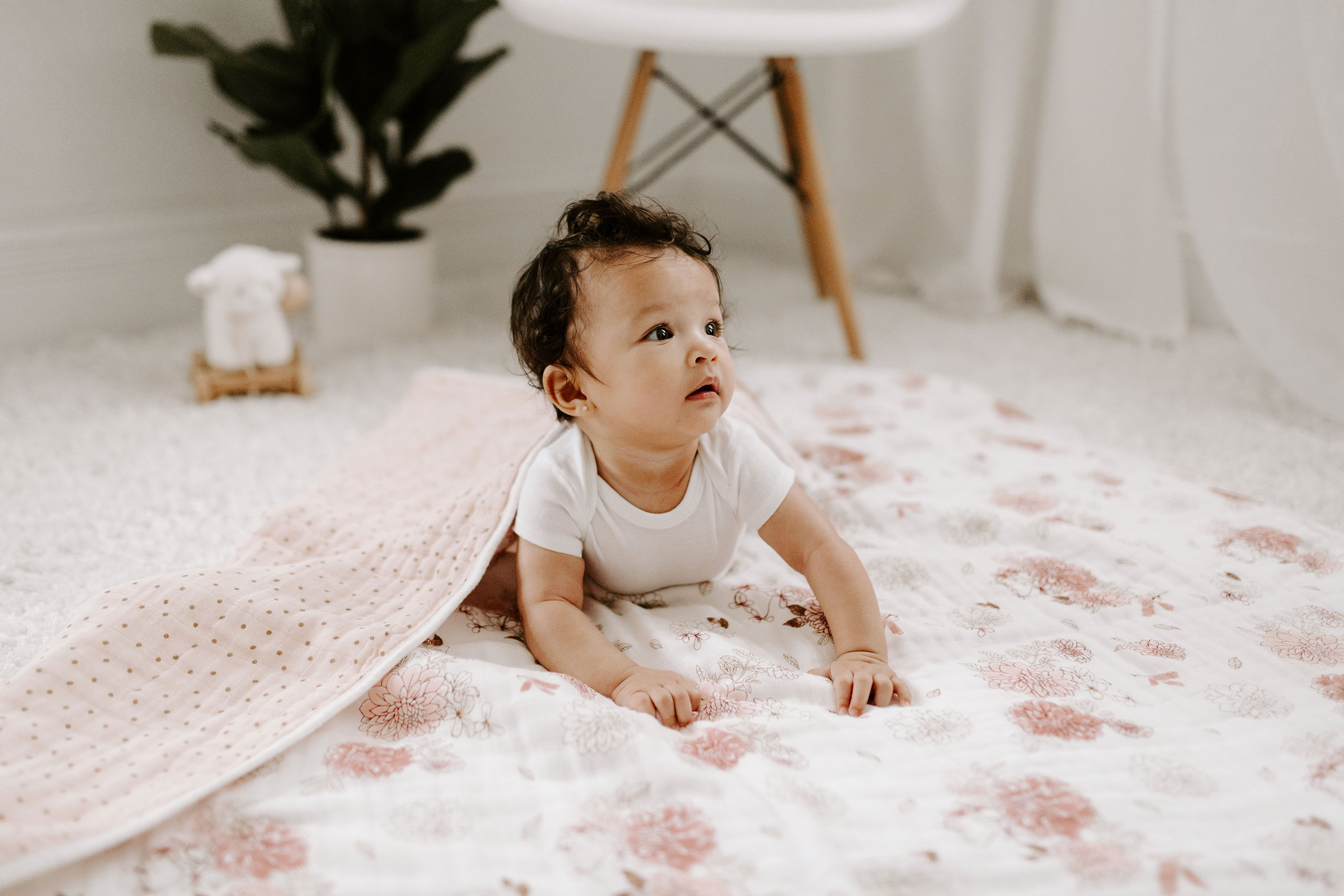 Aden & Anais, Inc.