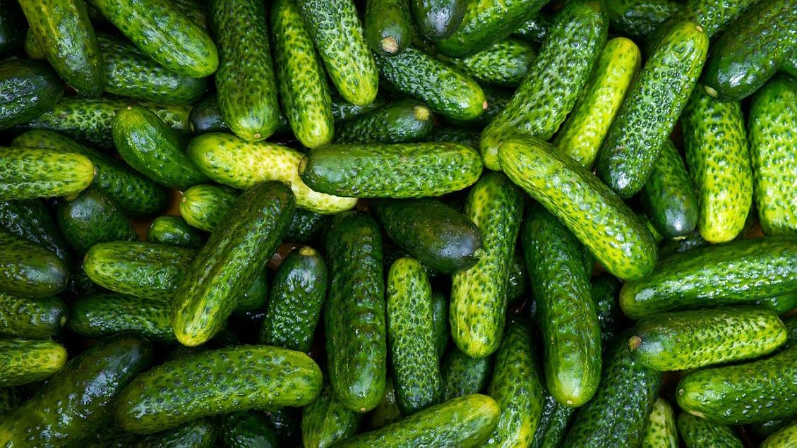 Patriot Pickle